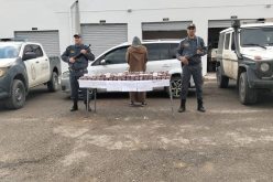 حجز أكثر من 22 ألف قرص “بريغابالين” بتلمسان