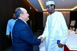 اللجنة المشتركة الجزائر-النيجر.. بيان مشترك