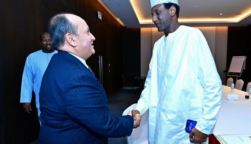 اللجنة المشتركة الجزائر-النيجر.. بيان مشترك