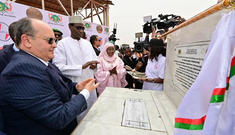 النيجر: الوزير الأول يضع حجر الأساس لمحطة توليد الكهرباء للتضامن في نيامي