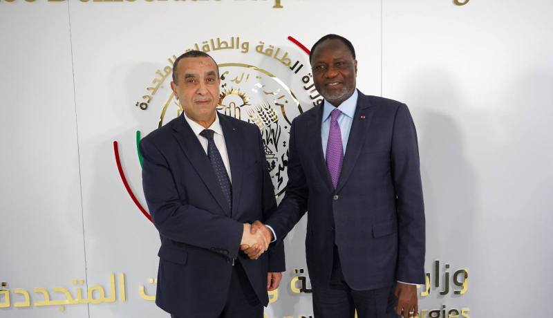 وزير الطاقة يبحث توسيع التعاون مع نظيره الإيفواري