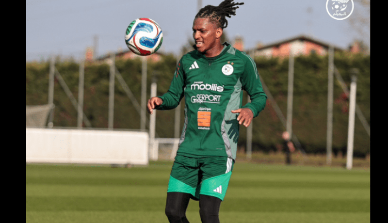 بوداوي يندمج في تدريبات “الخُضر” ويريح بيتكوفيتش