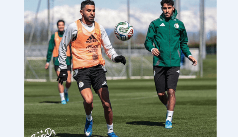“الخُضر” يختتمون تحضيراتهم لمواجهة غواتيمالا بمعنويات مرتفعة