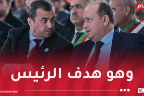 الوزير الأول: الجزائر تسير بخطى ثابتة نحو الخروج من الريع البترولي