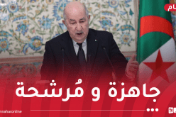 الرئيس تبون: الجزائر جاهزة للعب دور الفاعل في تعزيز السيادة الرقمية الإفريقية