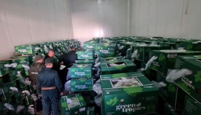 حجز 46 طنا من الموز مخزنة بطريقة غير شرعية بالبليدة