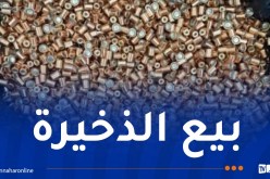 باتنة: توقيف شخصين وحجز كبسولات اشتعال خاصة بالأسلحة