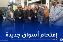 رزيق يعطي إشارة انطلاق تصدير شحنة من مادة الحشو القطني نحو مصر