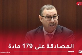 وزير الداخلية: إعادة صياغة العديد من مواد قانون المرور الجديد وحذف بعض المصطلحات المتعلقة بالتجريم