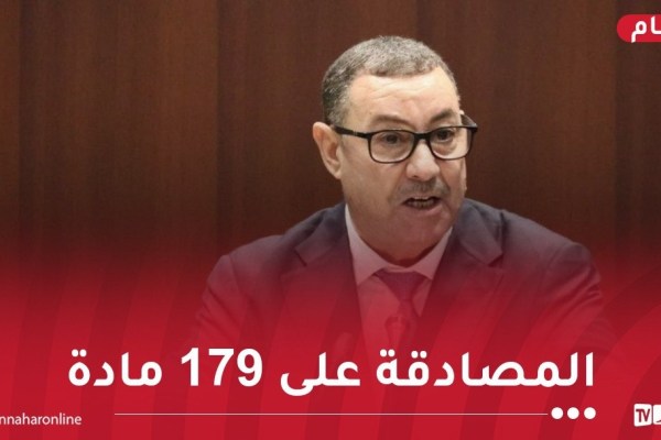 وزير الداخلية: إعادة صياغة العديد من مواد قانون المرور الجديد وحذف بعض المصطلحات المتعلقة بالتجريم