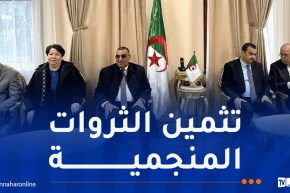 وفد وزاري هام يتفقد مشروع منجم الزنك والرصاص بأميزور وتالة حمزة