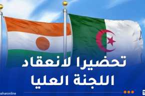 افتتاح أشغال اللجنة المشتركة للتعاون بين الجزائر والنيجر