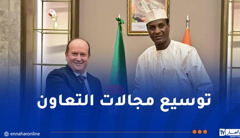 بتكليف من الرئيس تبون.. الوزير الأول على رأس وفد وزاري في زيارة إلى النيجر