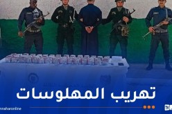 إحباط محاولة تهريب أزيد من 13 ألف قرص مهلوس بتندوف