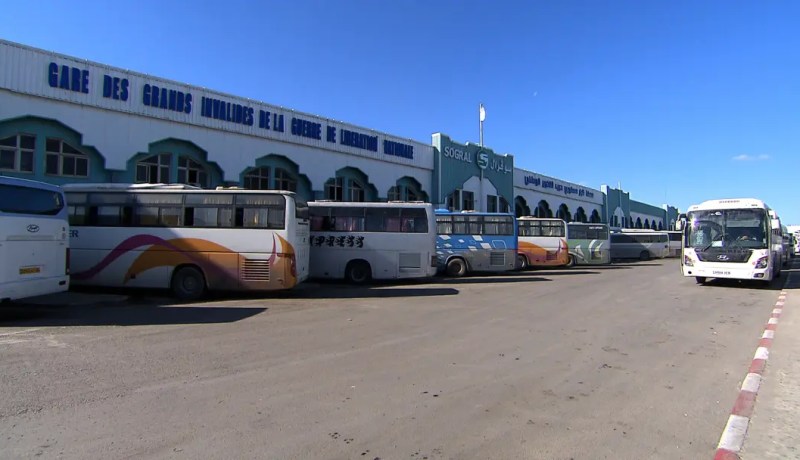 350 ألف مسافر يوميًا.. “سوڤرال” تعزز النقل البري بـ2300 رحلة إضافية تحسبا لعيد الفطر