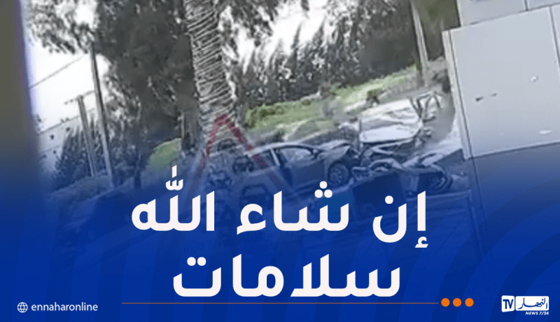 فيديو.. 6 ضحايا في حادث مروع بالكاليتوس