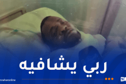 10 كلاب ضالة تنهش جسم رجل وتقطع أذنه بأدرار