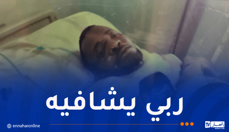 10 كلاب ضالة تنهش جسم رجل وتقطع أذنه بأدرار