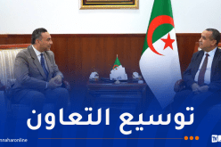 سونلغاز والسويدي إلكتريك يتوجهان إلى الأسواق الإفريقية