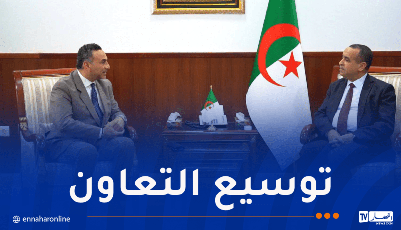 سونلغاز والسويدي إلكتريك يتوجهان إلى الأسواق الإفريقية