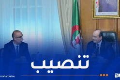 الوزير الأول يُنصب كمال أوقاسي مديراً عاماً للديوان الوطني للإحصائيات