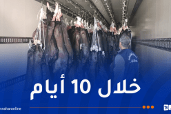 تسجيل أزيد من 10 آلاف مخالفة وحجز 144,91 طن من السلع في رمضان