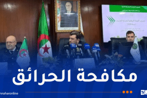 تنصيب اللجنة الوطنية لحماية الغابات