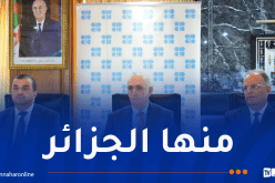 دول “أوبك+” تُقرر زيادة إنتاج النفط بـ206 ألف برميل يوميا