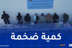 شرطة العاصمة تضبط قرابة 900 ألف مؤثر عقلي و35 كلغ كيف