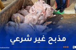 خنشلة.. حجز 3.5 قنطار من اللحوم البيضاء