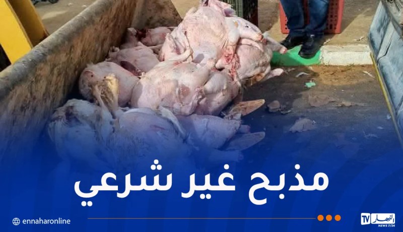 خنشلة.. حجز 3.5 قنطار من اللحوم البيضاء