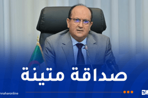 الوزير الأول: لطالما اتسمت العلاقات الجزائرية-الصربية بالثقة والاحترام