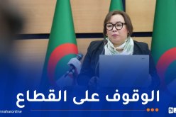وزيرة التكوين المهني في زيارة عمل إلى تيزي وزو