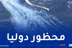 لبنان: الكيان الصهيوني استخدم مادة الفوسفور الأبيض في الهجمات على الجنوب