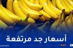 حجز كمية معتبرة من الموز في ميلة