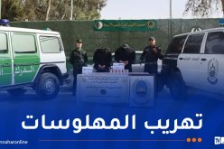 جمارك الأغواط تحجز 2070 قرص مهلوس