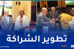 تعزيز التعاون الثنائي الجزائري-النيجري في مجال العمل والتشغيل