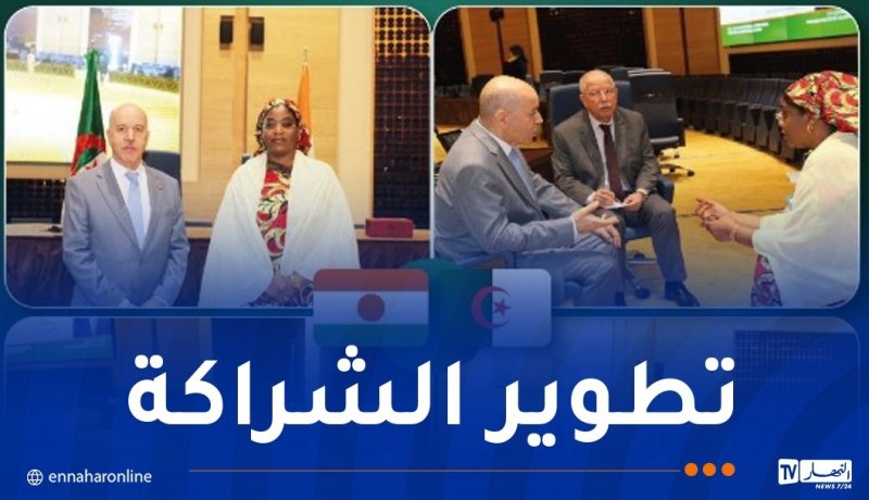 تعزيز التعاون الثنائي الجزائري-النيجري في مجال العمل والتشغيل