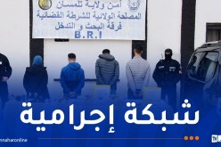 تلمسان.. توقيف 4 أشخاص وحجز كمية من الكيف