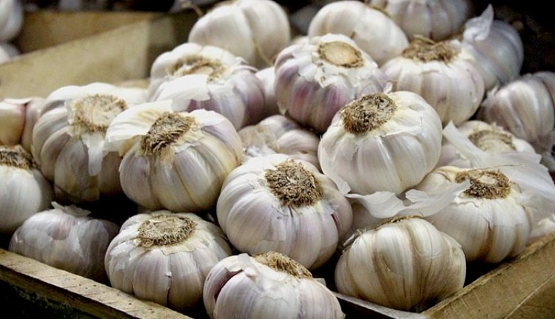 تفريغ كميات هامة من الثوم الجاف