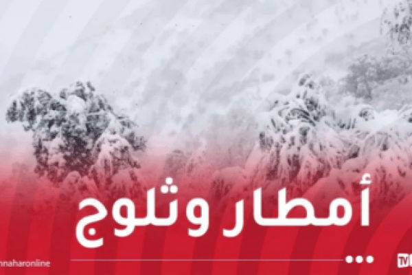 ثلوج.. أمطار ورياح وبرودة شديدة غدا الأحد
