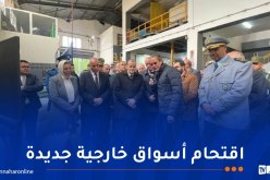 انطلاق تصدير شحنة من مادة الحشو القطني نحو مصر