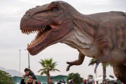 العاصمة: افتتاح الطبعة الثانية لمعرض الديناصورات