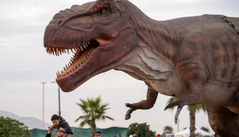العاصمة: افتتاح الطبعة الثانية لمعرض الديناصورات
