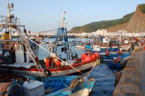 صيد بحري.. تسهيلات جديدة في مجال اقتناء العتاد