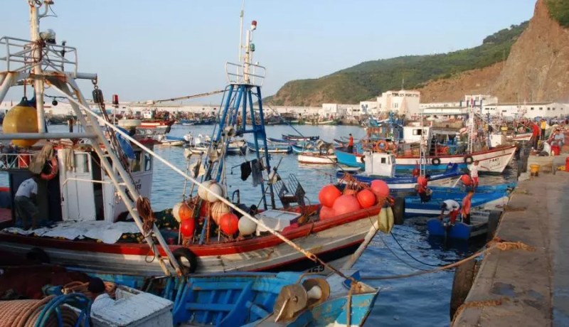 صيد بحري.. تسهيلات جديدة في مجال اقتناء العتاد