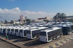 تسليم الدفعة الثانية من الحافلات الجديدة لمؤسسات النقل