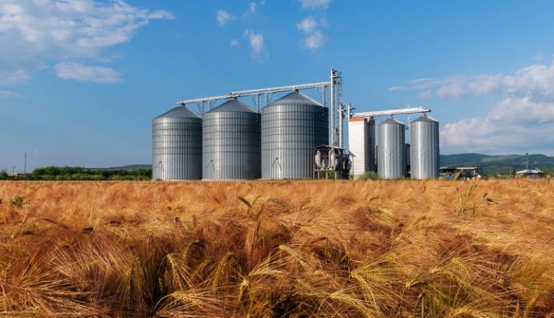 وزير الفلاحة: الجزائر بخطوات حاسمة نحو تعزيز استقلالها الغذائي