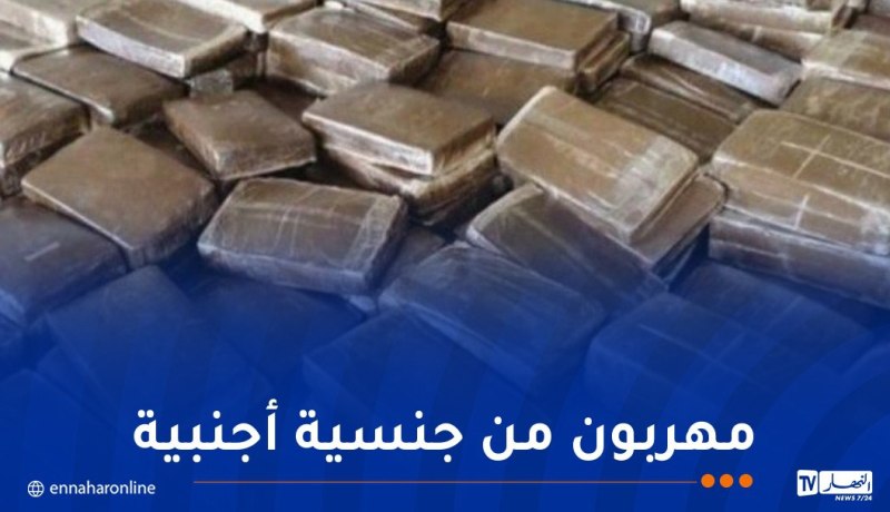 إحباط محاولة تهريب 74 كلغ من المخدرات في بشار