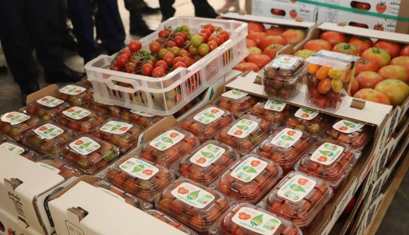 المغير: تصدير 80 طن من منتوج الطماطم نحو إسبانيا